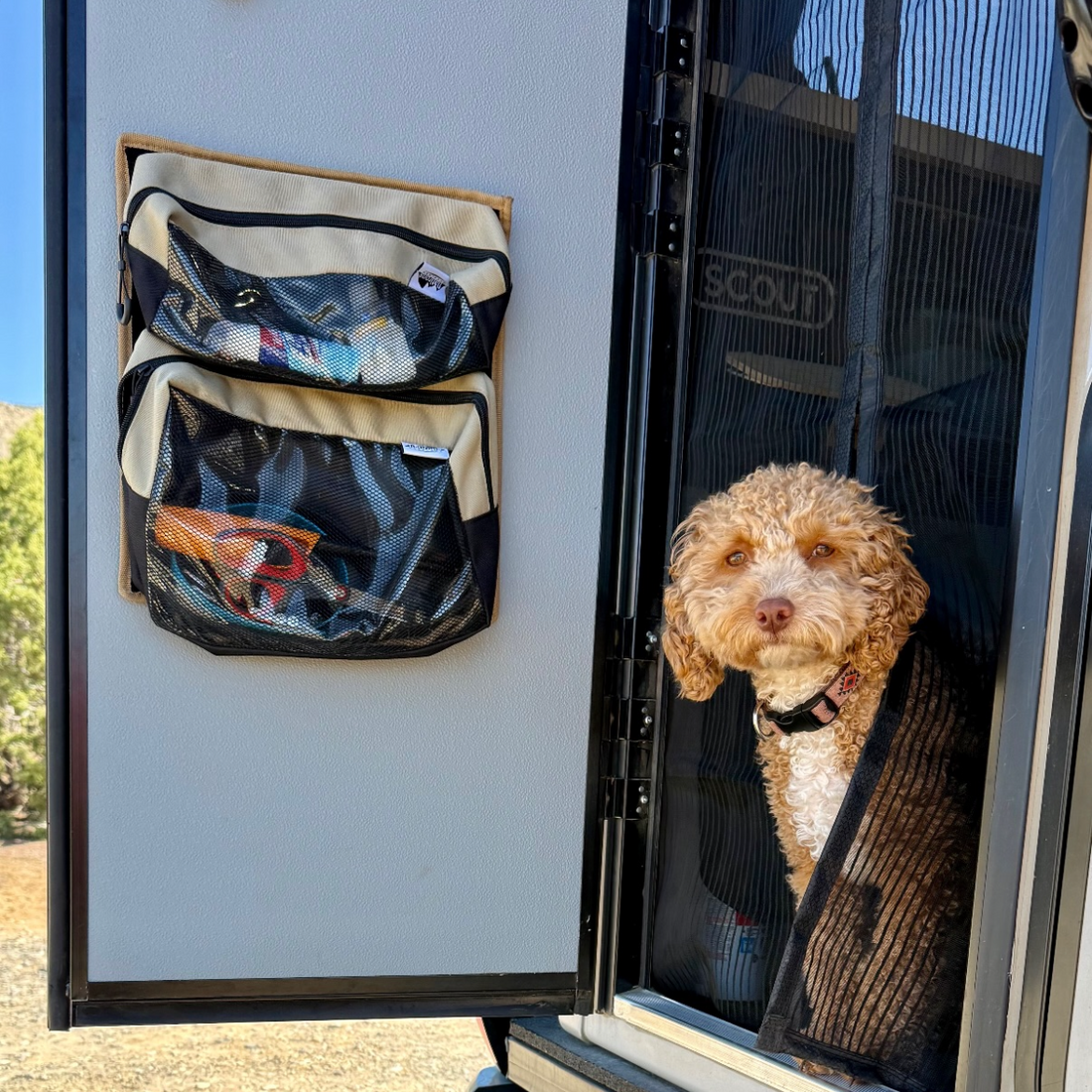 Van Storage 101: Comparing Your Options for a Clutter-Free Build