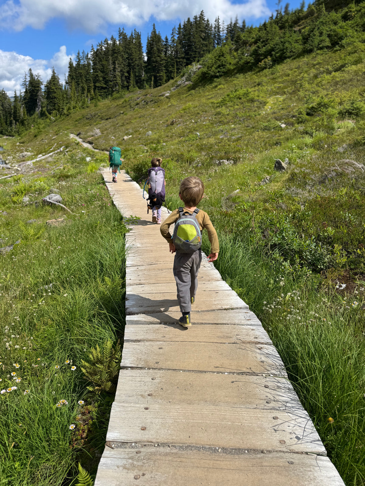 Kids hiking on road trip